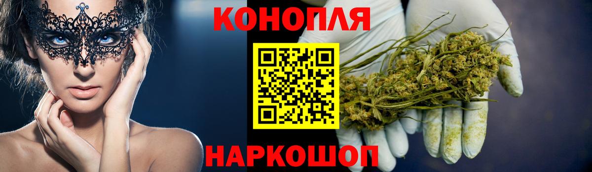 Бошки Шишки семена Петрозаводск